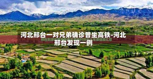 河北邢台一对兄弟确诊曾坐高铁-河北邢台发现一例