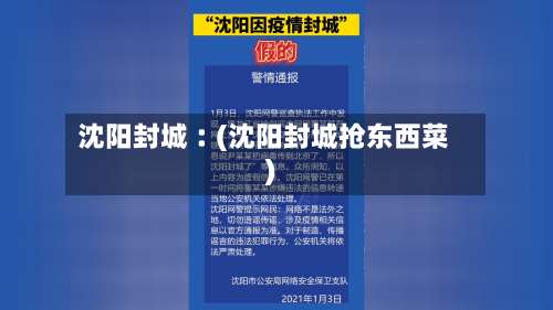 沈阳封城︰(沈阳封城抢东西菜)-第1张图片